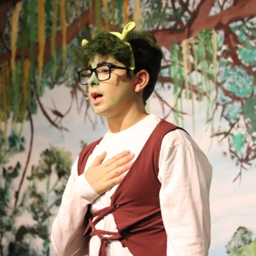 A photo of Shrek on stage at the beginning of the play