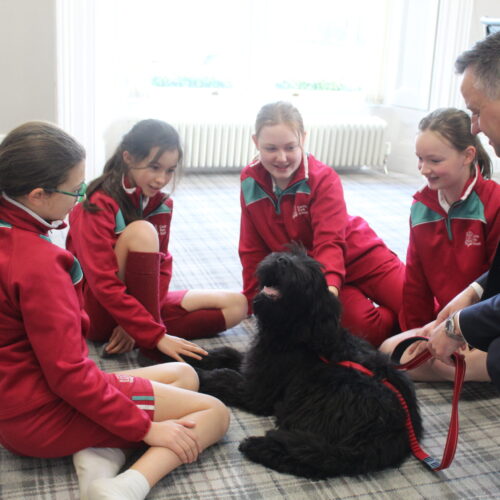 An image of our pupils meeting Bertie the dog for the first time