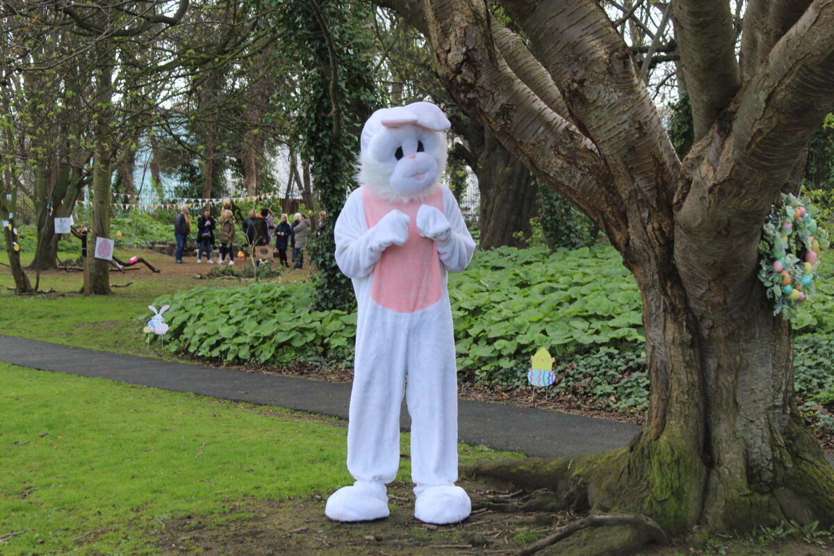 The Easter Bunny waiting in forest school for the Early Years children to arrive
