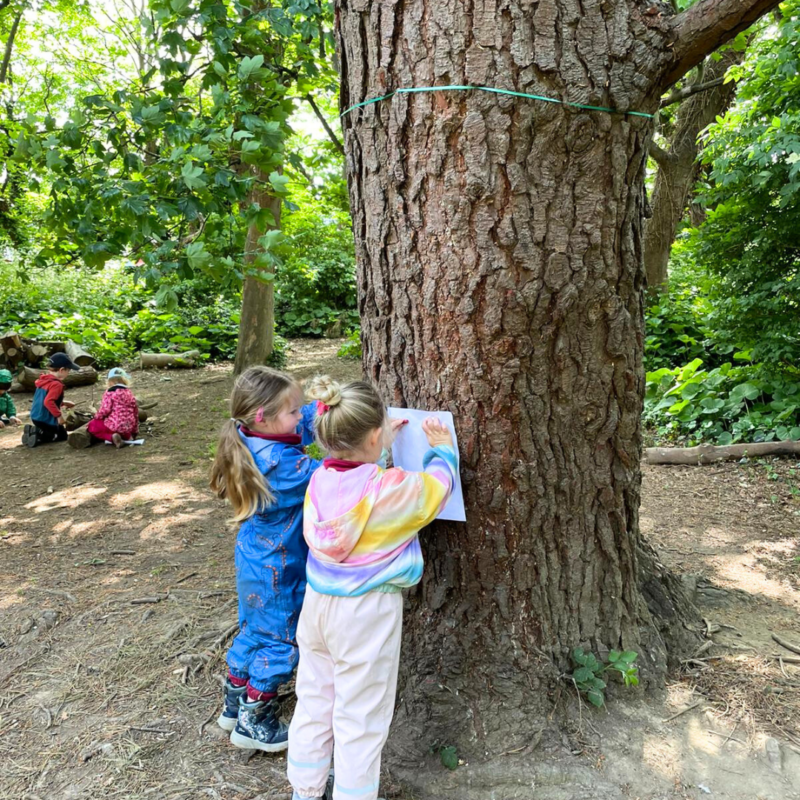 Two girls from our Kindergarten 2 class leaning some paper against a tree in forest school