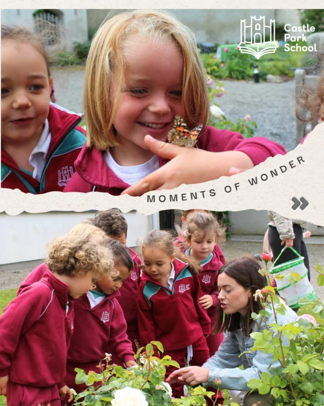 Butterfly Release Day! 🦋

Our curious Kindergarten 2 pupils had a magical moment this week as they released their Painted Lady butterflies into the wild!

After weeks of observing the amazing metamorphosis from caterpillar to chrysalis to beautiful butterfly, it was finally time to set them free. 🐛

This engaging science activity provided our young learners with a meaningful opportunity to observe nature up close, explore the stages of a butterfly’s life cycle, and develop a gentle connection with the natural world around them.

Way to go, K2! 

#castleparkschool #Dalkey #ButterflyRelease #PaintedLadyButterflies #K2Adventures #STEMlearning #LittleScientists #NatureInTheClassroom #EarlyChildhoodEducation #HPLworldclassschool